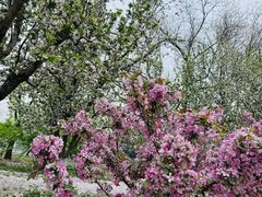 -元大都城垣遗址公园