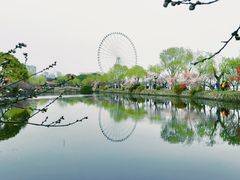 -无锡蠡湖国家湿地公园-蠡园