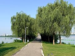 -金银湖国家城市湿地公园
