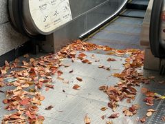 -COMMUNE幻师(花园道店)