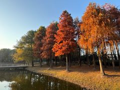 -同里国家湿地公园