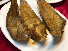 香煎龙利鱼-蛇口康乐快餐鱼仔档(翠苑小区店)