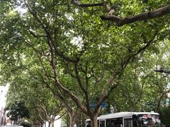-VPsmart私教健身工作室(新华路旗舰店)