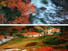 -光雾山旅游景区