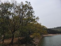 -南京市无想山景区