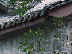 -陈家桅杆