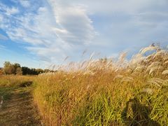 -野鸭湖国家湿地公园