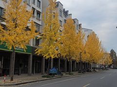 -洪福饭店·十八年老店