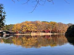 -上海共青森林公园