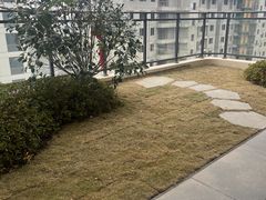 -点石家装(总部旗舰店)