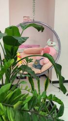 点击看大图 -久匠·野生眉半永久纹眉