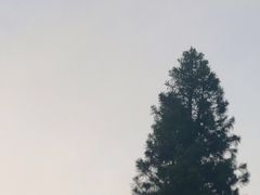 -百味香重庆鸡公煲(厦大学生公寓老店)