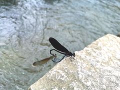 -楠溪江风景名胜区