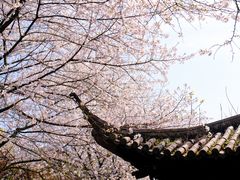 -杭州植物园