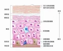 -蕾特恩专业祛痘·皮肤管理