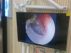 -自然之声助听器·呼吸机(和平店)