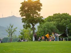 -长田漾湿地公园