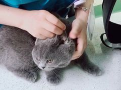 -美联众合动物医院·24h京西诊疗中心