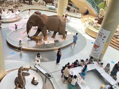 -陕西自然博物馆