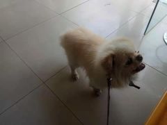 -畜牧兽医站(共江路店)