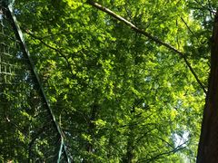 -南京金牛湖风景区