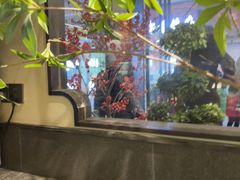 -杏花村水席楼·洛阳水席(老城十字街店)