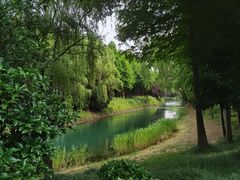 -贡湖湾湿地公园