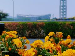 -北京奥林匹克公园