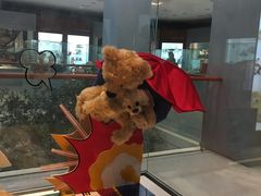 -济州岛泰迪熊博物馆