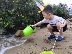 -宝安西湾红树林湿地公园