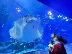 -太平洋海底世界