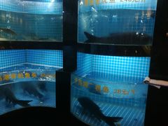 水产区-千岛湖小鱼儿·淳安匠心农家菜