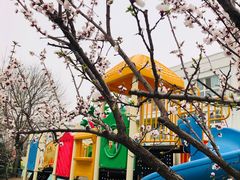 -爱彼格林珑悦幼儿园