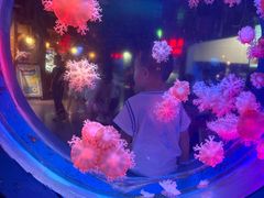 -太平洋海底世界