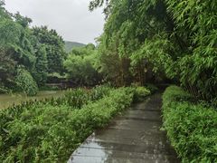 -大屏嶂森林公园