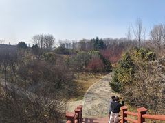 -洛阳市隋唐城遗址植物园