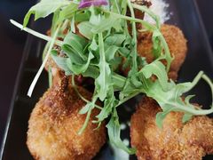 -百好乐宠物友好餐厅(朝外大街店)