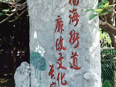 -立新湖公园
