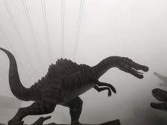 -梦幻奥陶纪景区