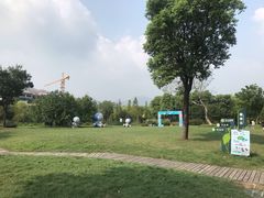 -长兴太湖图影湿地文化园