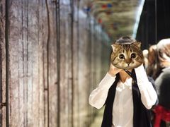 -杭州逸酒店(西湖武林店)