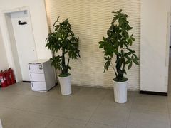 -武氏真功夫(第16店·利群广场店)