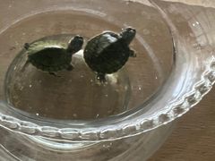 -爱乐恩幼儿园(亦庄园店)