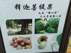 -龙口南山旅游景区