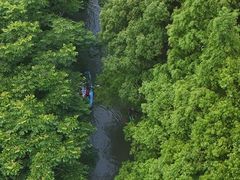 -动邦皮划艇·桨板·独木舟·团建户外运动俱乐部