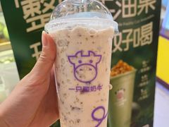 -一只酸奶牛(春熙路店)