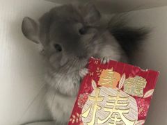 -龙猫仔乐园(惠福东路店)