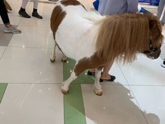 -凯德广场(西城店)