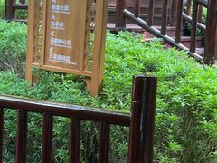 -七彩云南古滇温泉山庄