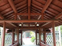 -南汇桃花村